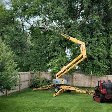 East Berwick, PA Tree Removal and Landscaping Services Company